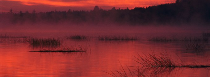 The spectacular work of CCC in restoring the Adirondacks after fire gives me some dreams for NREGA in India.